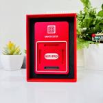 MiPi Pro Box (Standard Version)